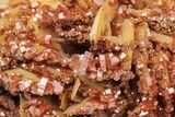 Sparkling, Ruby Red Vanadinite Crystals on Barite - Morocco #223660-2